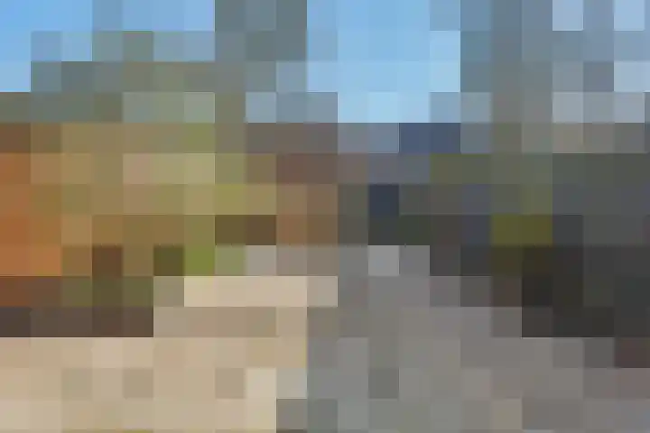 Zandgors 23 Mijnsheerenland thumbnail 26