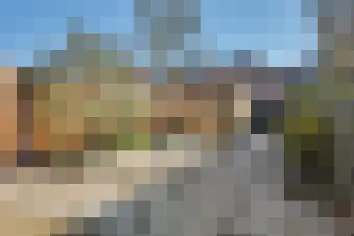 Zandgors 23 Mijnsheerenland thumbnail 27