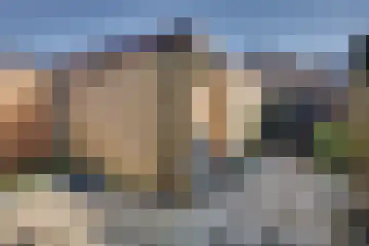 Zandgors 23 Mijnsheerenland thumbnail 28