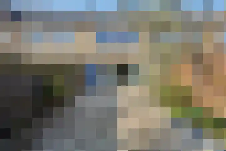 Zandgors 23 Mijnsheerenland thumbnail 29