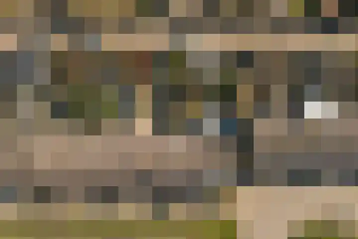 Zandgors 23 Mijnsheerenland thumbnail 30