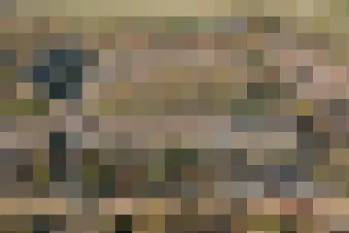 Zandgors 23 Mijnsheerenland thumbnail 34