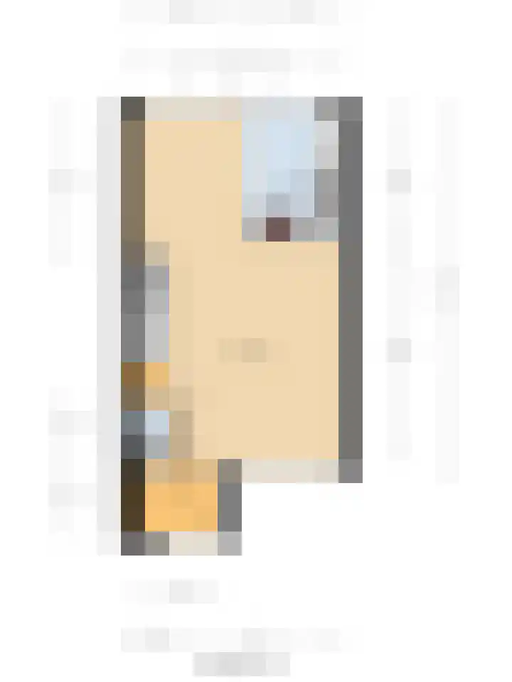 Zandgors 23 Mijnsheerenland thumbnail 35