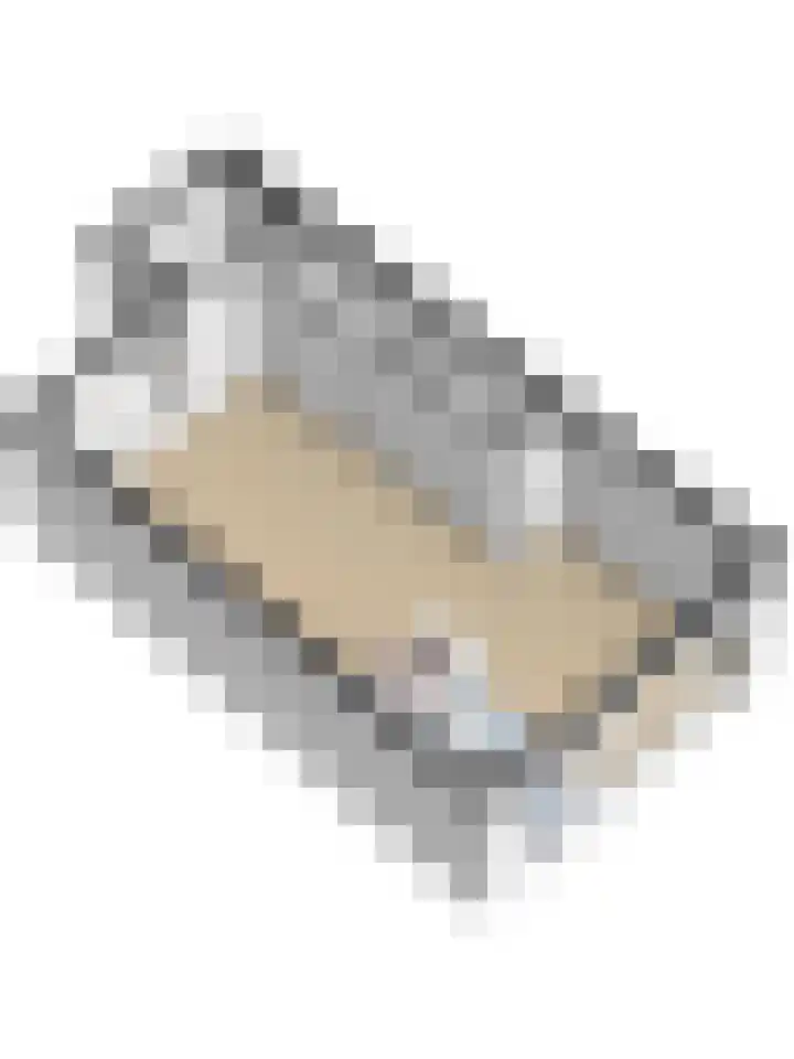 Zandgors 23 Mijnsheerenland thumbnail 36