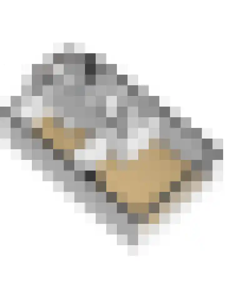 Zandgors 23 Mijnsheerenland thumbnail 38