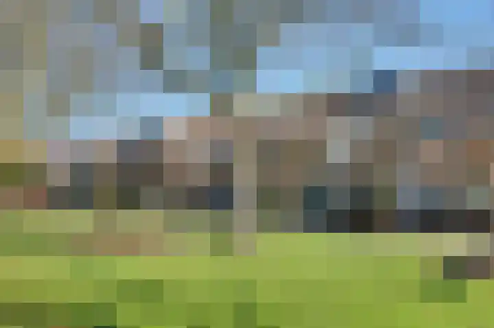Zandgors 23 Mijnsheerenland thumbnail 4