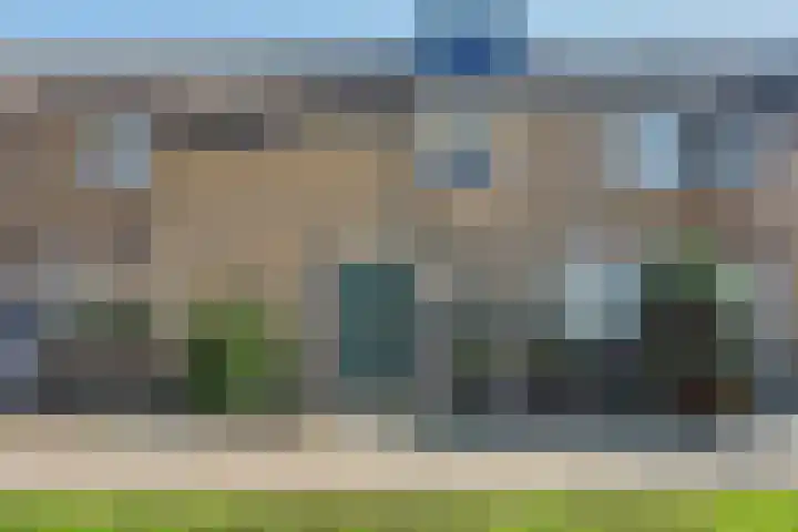 Zandgors 23 Mijnsheerenland thumbnail 5