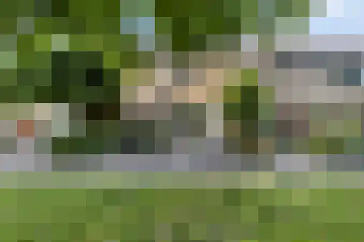 Zandgors 53 en Mijnsheerenland