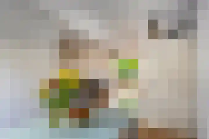 Zandgors 53 Mijnsheerenland thumbnail 10