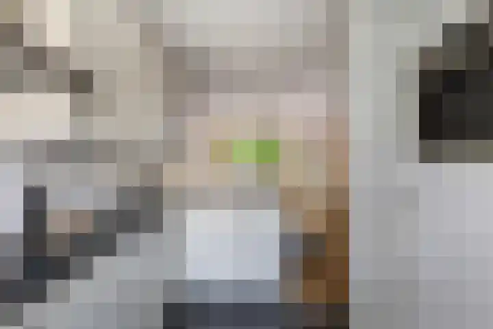 Zandgors 53 Mijnsheerenland thumbnail 13