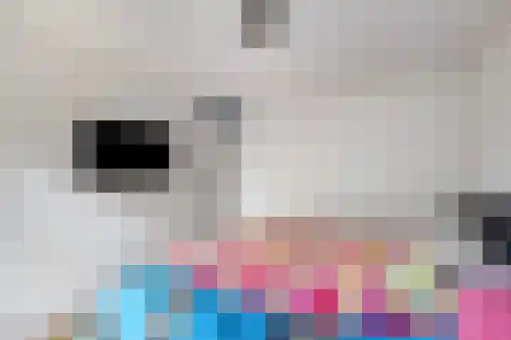 Zandgors 53 Mijnsheerenland thumbnail 17