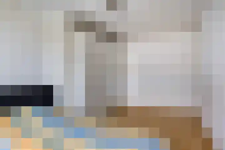 Zandgors 53 Mijnsheerenland thumbnail 24