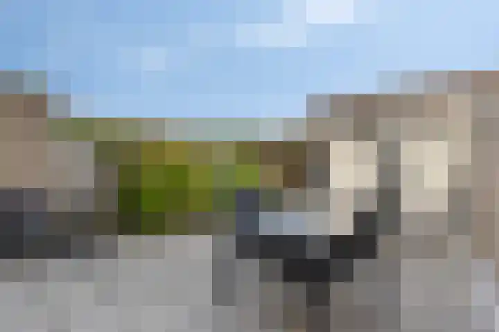 Zandgors 53 Mijnsheerenland thumbnail 30