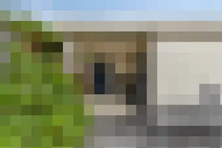 Zandgors 53 Mijnsheerenland thumbnail 31