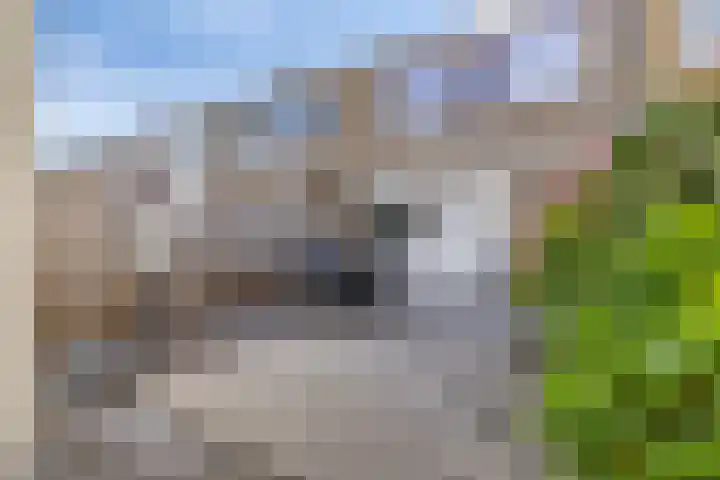 Zandgors 53 Mijnsheerenland thumbnail 32