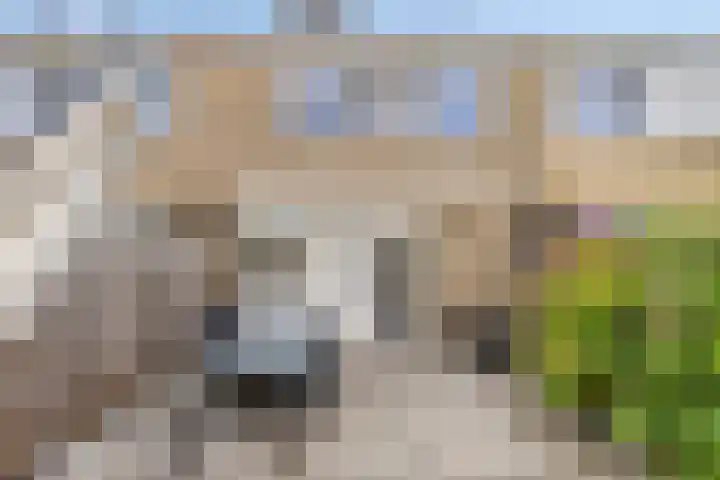 Zandgors 53 Mijnsheerenland thumbnail 33