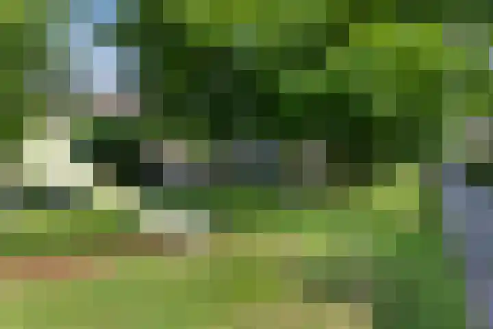 Zandgors 53 Mijnsheerenland thumbnail 35
