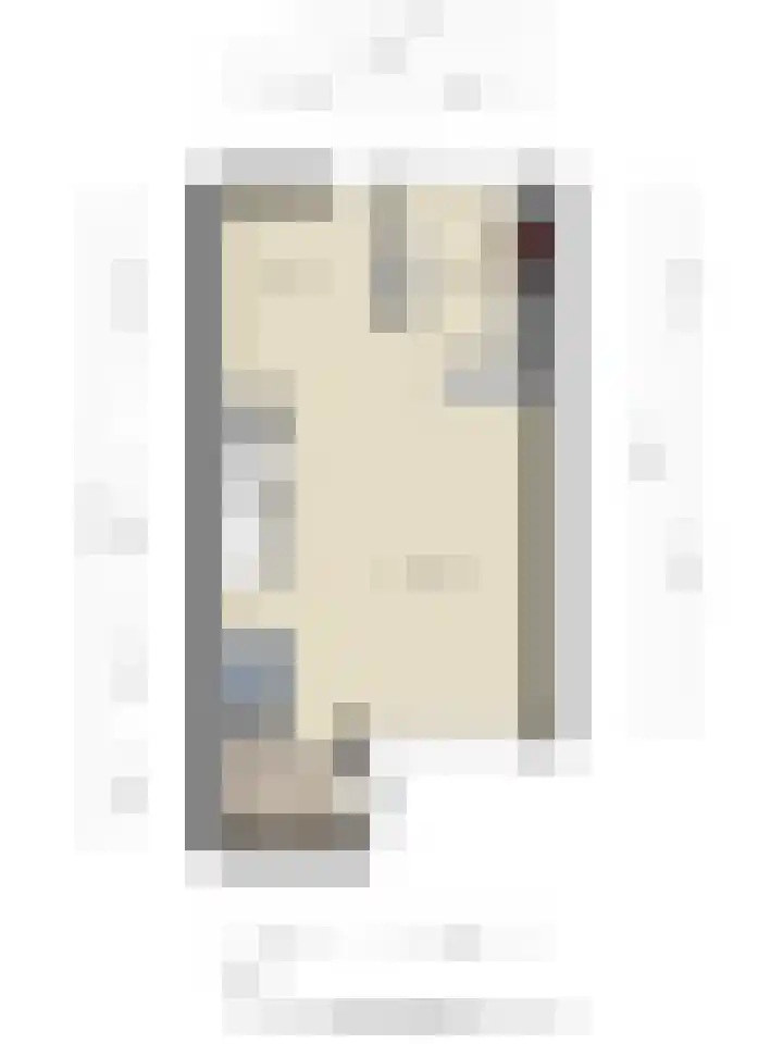Zandgors 53 Mijnsheerenland thumbnail 38