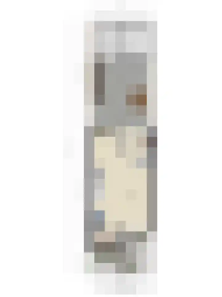 Zandgors 53 Mijnsheerenland thumbnail 39