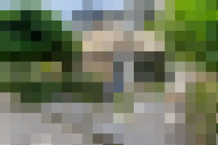 Zandgors 53 Mijnsheerenland thumbnail 4