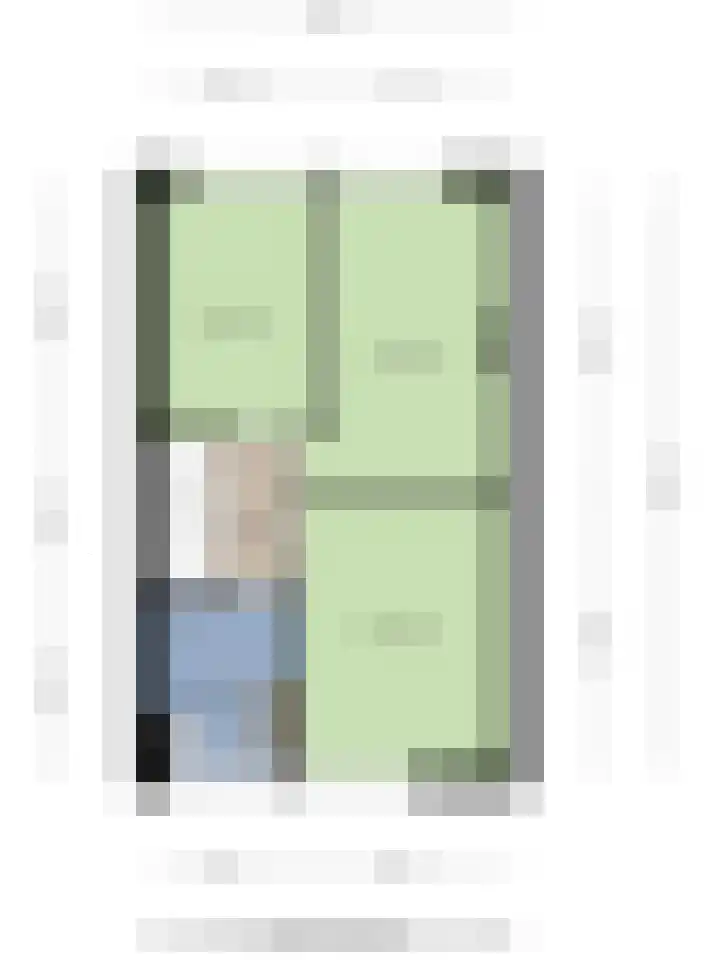 Zandgors 53 Mijnsheerenland thumbnail 40