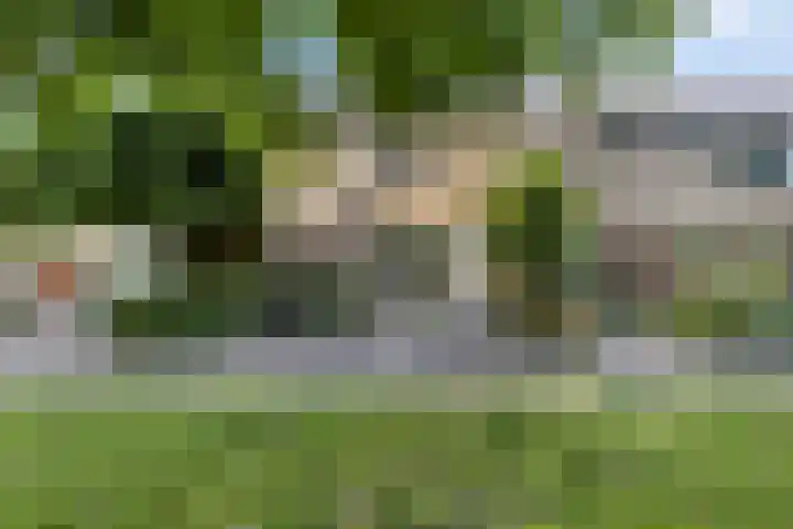 Zandgors 53 Mijnsheerenland thumbnail 43