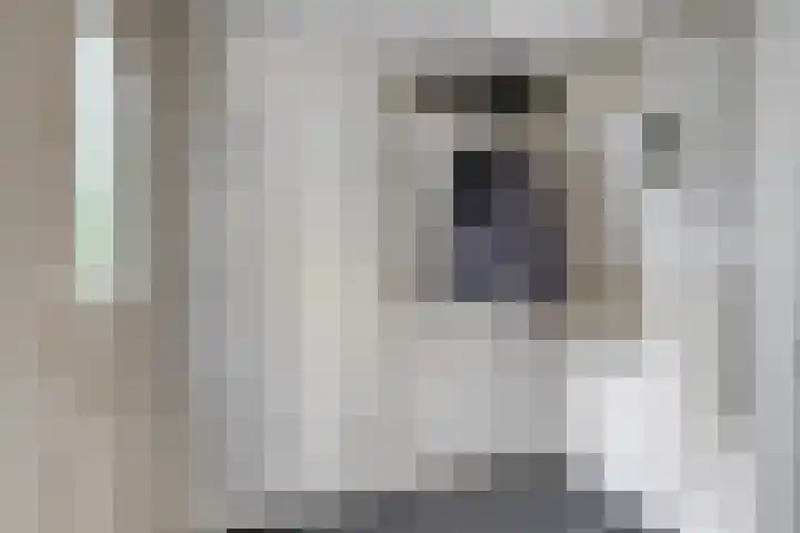 Zandgors 53 Mijnsheerenland thumbnail 5