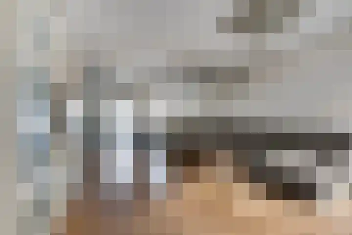 Zandgors 53 Mijnsheerenland thumbnail 6