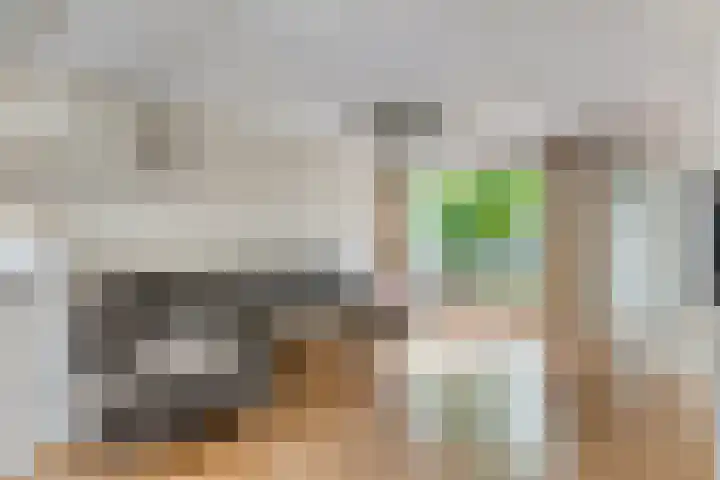 Zandgors 53 Mijnsheerenland thumbnail 8