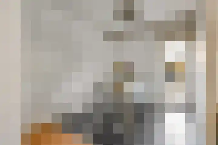 Zandgors 53 Mijnsheerenland thumbnail 9