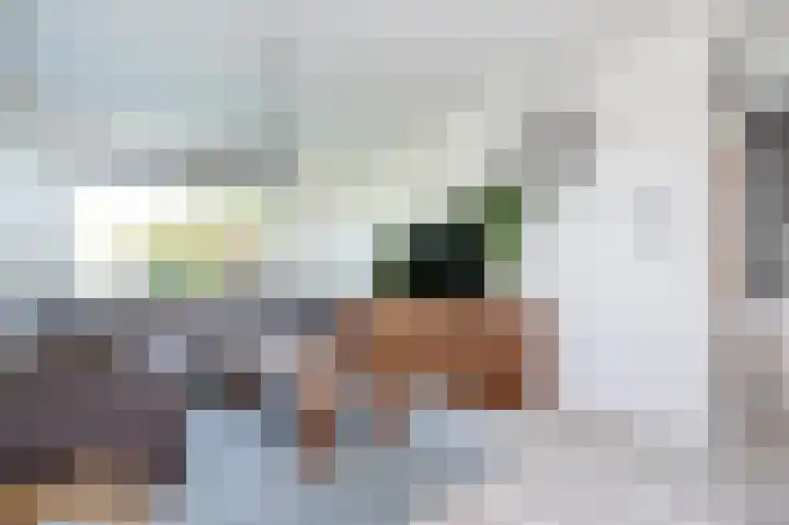 Zandgorsweg 3 Stellendam thumbnail 15