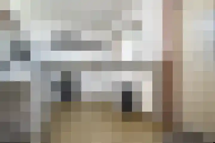 Zandgorsweg 3 Stellendam thumbnail 18