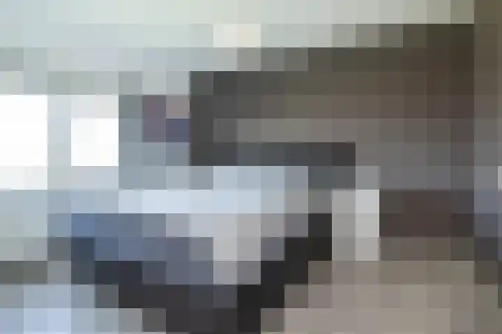 Zandgorsweg 3 Stellendam thumbnail 25