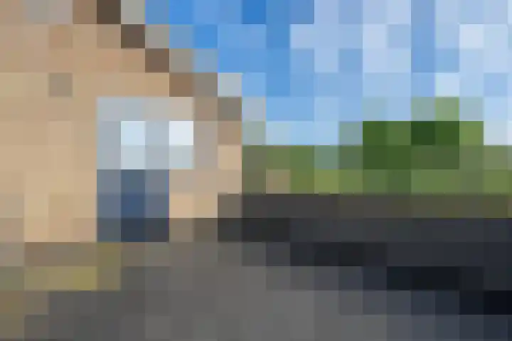 Zandgorsweg 3 Stellendam thumbnail 29