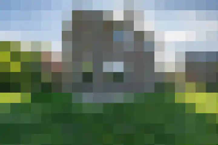 Zandgorsweg 3 Stellendam thumbnail 32