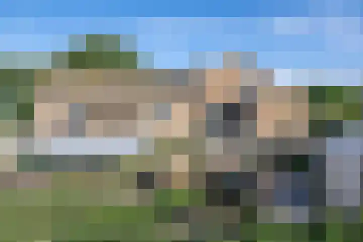 Zandgorsweg 3 Stellendam thumbnail 34