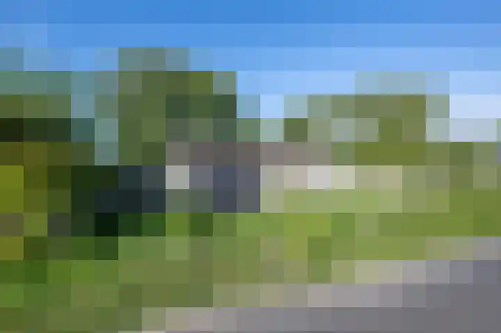 Zandgorsweg 3 Stellendam thumbnail 35