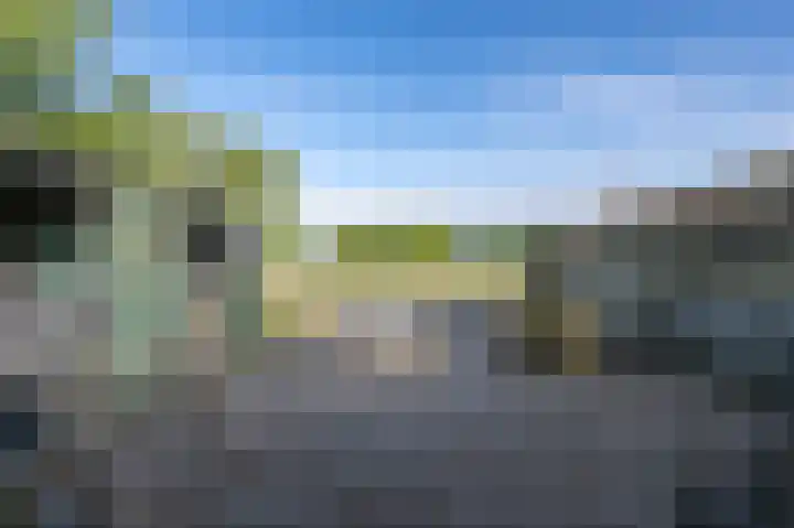 Zandgorsweg 3 Stellendam thumbnail 36