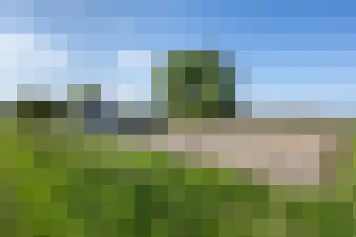Zandgorsweg 3 Stellendam thumbnail 37