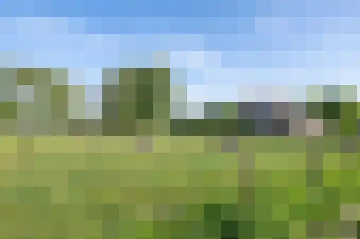Zandgorsweg 3 Stellendam thumbnail 38