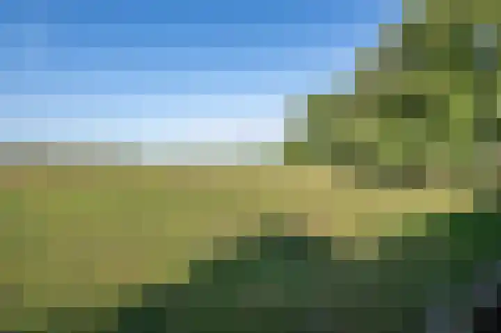 Zandgorsweg 3 Stellendam thumbnail 39