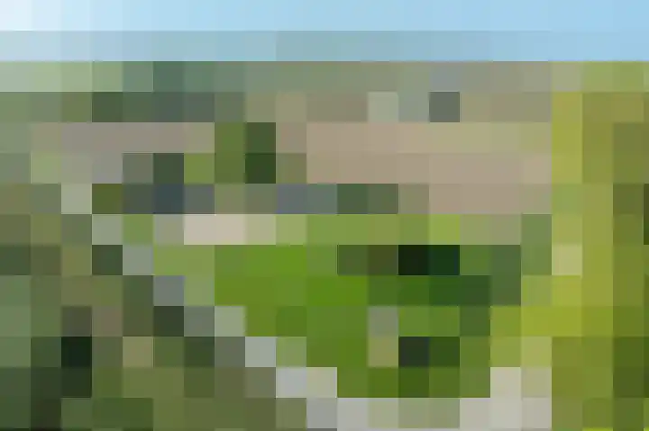 Zandgorsweg 3 Stellendam thumbnail 40