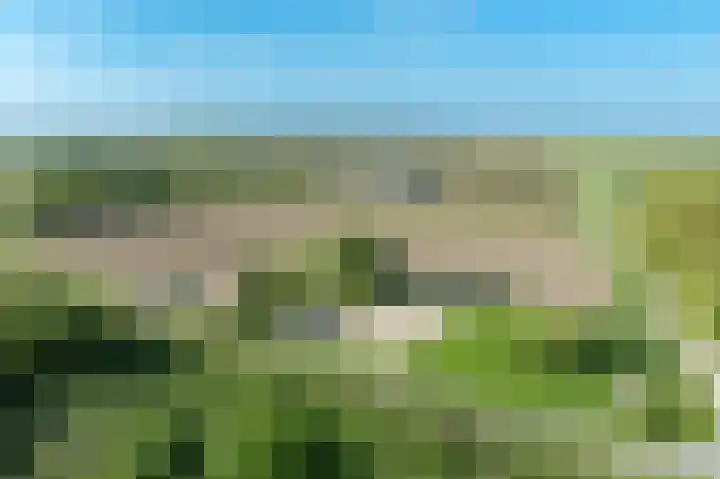 Zandgorsweg 3 Stellendam thumbnail 41