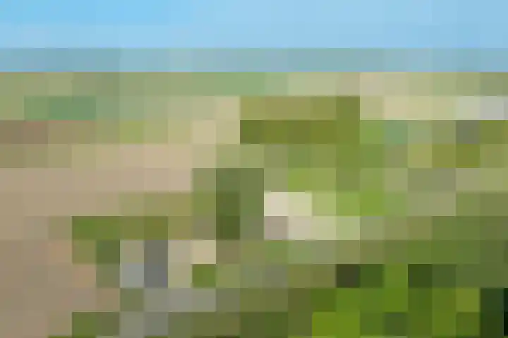Zandgorsweg 3 Stellendam thumbnail 43
