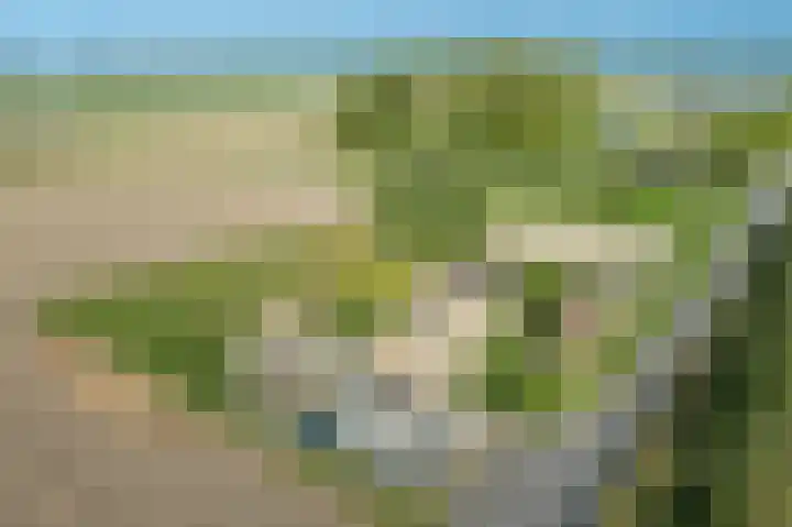 Zandgorsweg 3 Stellendam thumbnail 44