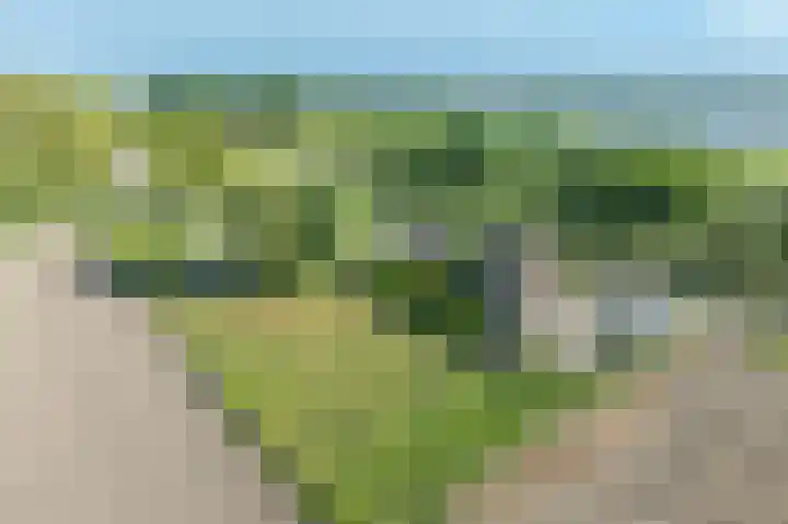 Zandgorsweg 3 Stellendam thumbnail 45