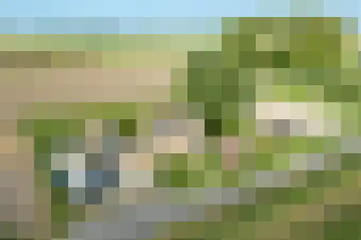 Zandgorsweg 3 Stellendam thumbnail 50