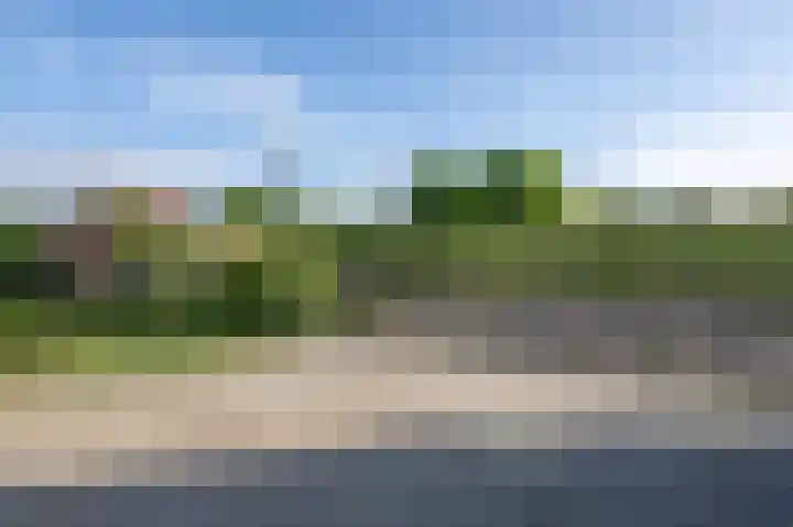 Zandgorsweg 3 Stellendam thumbnail 6