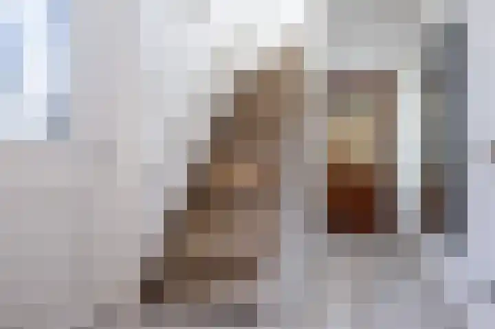 Zandgorsweg 3 Stellendam thumbnail 8