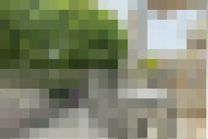 Zandgouw 2 B3 Teteringen thumbnail 15
